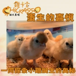 半日農場體驗【蛋生的喜悅】1人