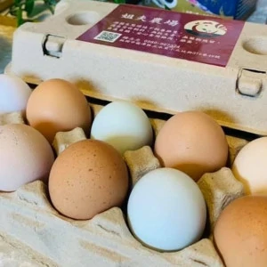 雞蛋方案一【每月40顆】