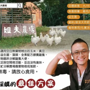 雞蛋方案一【每月60顆】